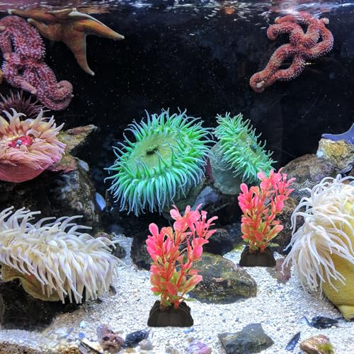 10pcs Artificial Aquarium Plants Plastic Betta Fish Tank Decorations Small Aquatic Grass for Plastic Aquariums Fish Tank Accessories