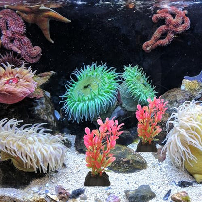10pcs Artificial Aquarium Plants Plastic Betta Fish Tank Decorations Small Aquatic Grass for Plastic Aquariums Fish Tank Accessories