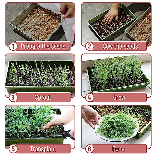 Mr. Pen- Seed Starter Trays, 10 Pack, 17"x10"x2.4", Durable Plastic Growing Trays, Stackable and Reusable Seedling Starter Kits for Indoor, Outdoor, Greenhouse Gardening, Planting, Hydroponic Systems