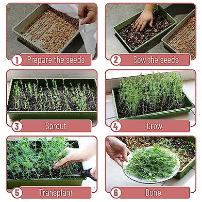 Mr. Pen- Seed Starter Trays, 10 Pack, 17"x10"x2.4", Durable Plastic Growing Trays, Stackable and Reusable Seedling Starter Kits for Indoor, Outdoor, Greenhouse Gardening, Planting, Hydroponic Systems
