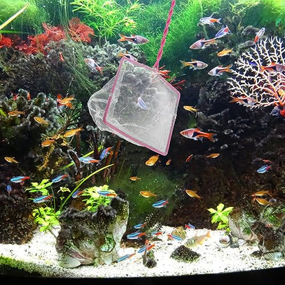 Toyvian 5pcs Handheld Fishing Net for Aquarium Non- Handle Fine Mesh Design for Small Fish Convenient Fishing Tools for Fish Tank