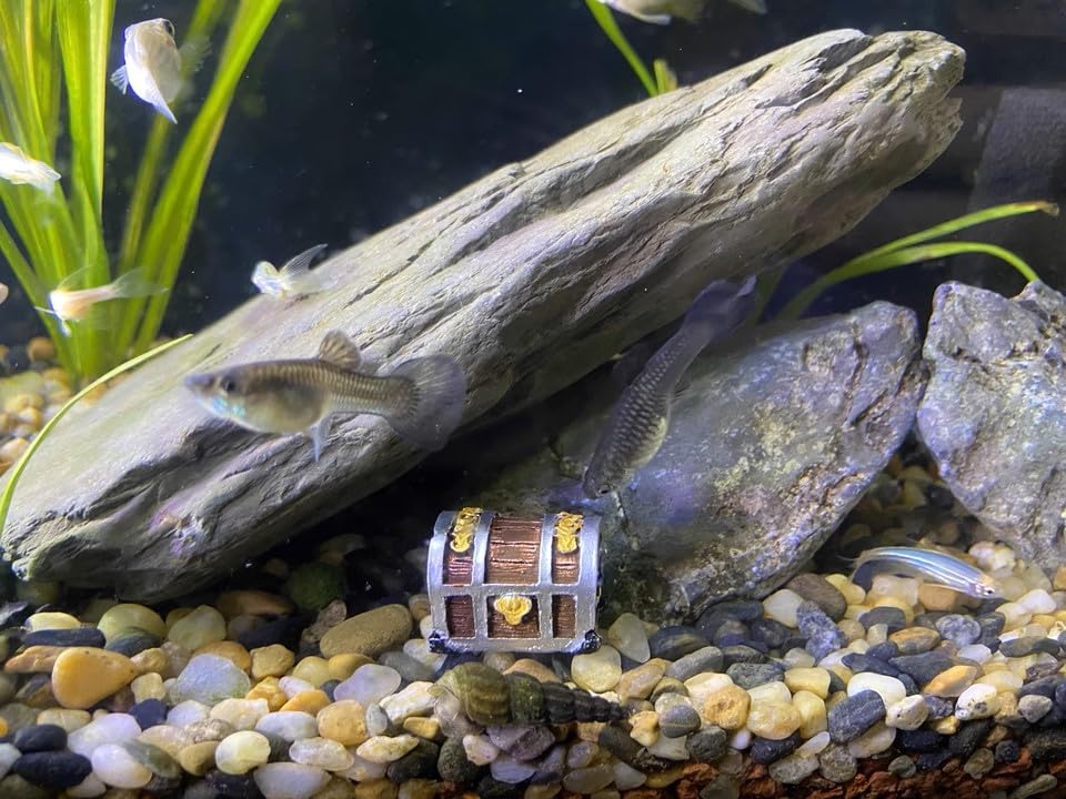 8Pcs Mini Aquarium Treasure Chest Miniature Gold Jewelry Box Model for DIY Diorama Craft Fish Tank Terrarium Decorations