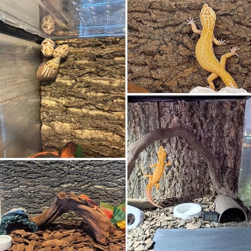 Cork Terrarium Background 11.8x7.9in 4PCS Natural Reptile Cork Bark Flats Terrarium Board Bearded Dragon Climbing Wall Mat Tank Decor for Lizard Chamelon Snake Turtle Spider Crested Gecko - size: 4PCS-11.8x7.9in