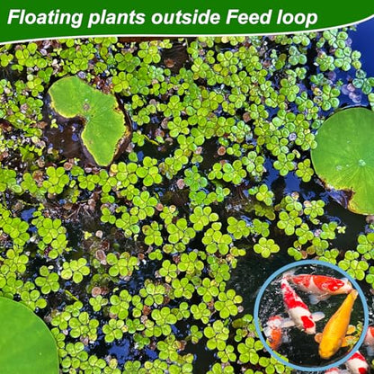 PEUTIER 5pcs Aquarium Floating Plant Rings, Foam Round Fish Feeding Rings 5 Size Floating Plant Corral Fish Tank Food Ring Keep Floating Plants in Place (Blue)