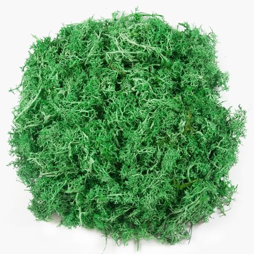 3.5 OZ Fake Moss for Plants Indoor, Realistic Artificial Green Moss Preserved Moss for Crafts,Reindeer Moss for DIY Table Centerpieces, Terrarium Decor, Fairy Garden Accessories