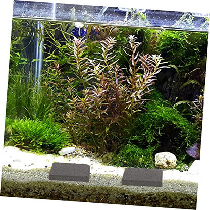 BESPORTBLE 10pcs Tiles Bases Aquarium Reef Bases Ceramic Safe Material for Breeding