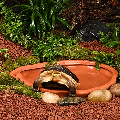 Extra Large Reptile Bathing Pool Tortoise Bathing Pool Reptile Feeding Dish Water Bath Bowl Aquarium Ornament for Gecko, Snake, Turtle, Bearded Dragon, Lizard Bath (Red Pottery)