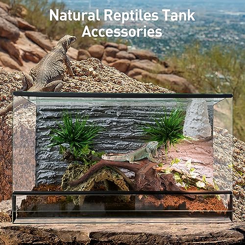 Natural Driftwood for Aquarium Decor, 1-Piece 13''-17'' Large Driftwood for Decorations on Fish Tank, Reptiles Bearded Dragon Accessories or Air Plants