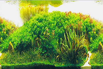 ELEBOX Aquarium Background Live Aquarium Plants Fish Tank Background Decorations Wallpaper Underwater Forest Poster Backdrop 12"x 32"