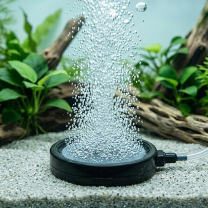 10cm Fish Tank Circular Gas Stone Plate Oxygen Diffusion Aerator Compatible with 4mm Hose Fish Tank Water Bucket Pond Universal (excluding Air Pump) - size: 10cm-1pcs