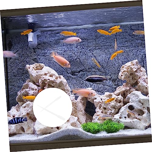 10pcs Fish Tank Feeding Tool Plastic Tubes for Shrimp Corals Guppies Aquarium Feeder Scale for Pet Supplies