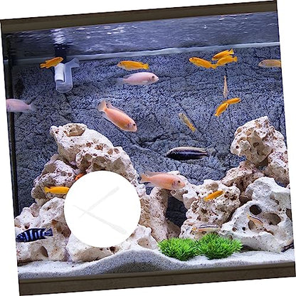 10pcs Fish Tank Feeding Tool Plastic Tubes for Shrimp Corals Guppies Aquarium Feeder Scale for Pet Supplies