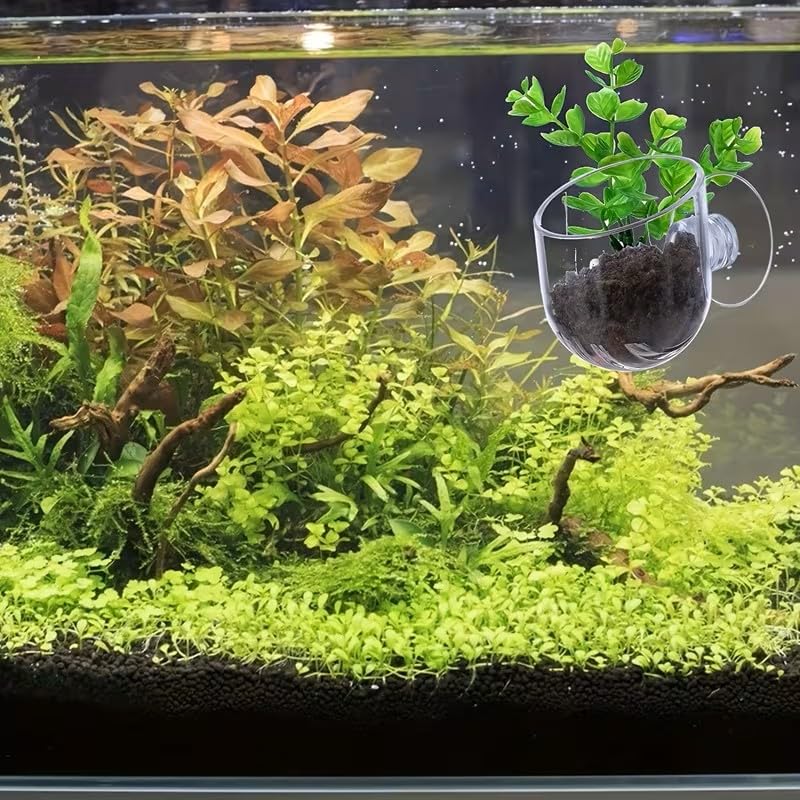 2pcs Aquarium Plant Pot, Plastic Fish Tank Plants Holder Aquarium Planter - color: Clear Plant Pot
